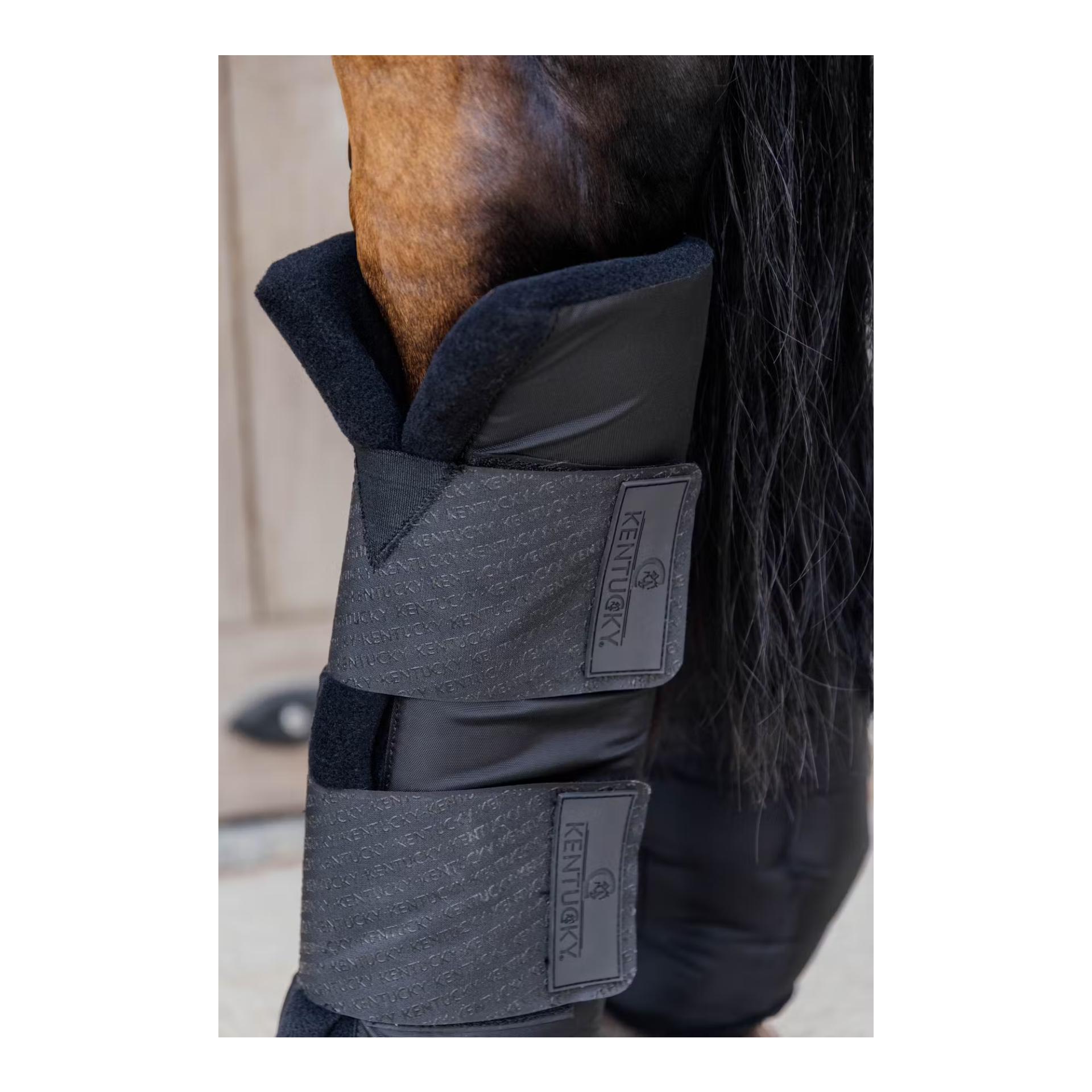 Stallgamaschen PROtect classic hinten