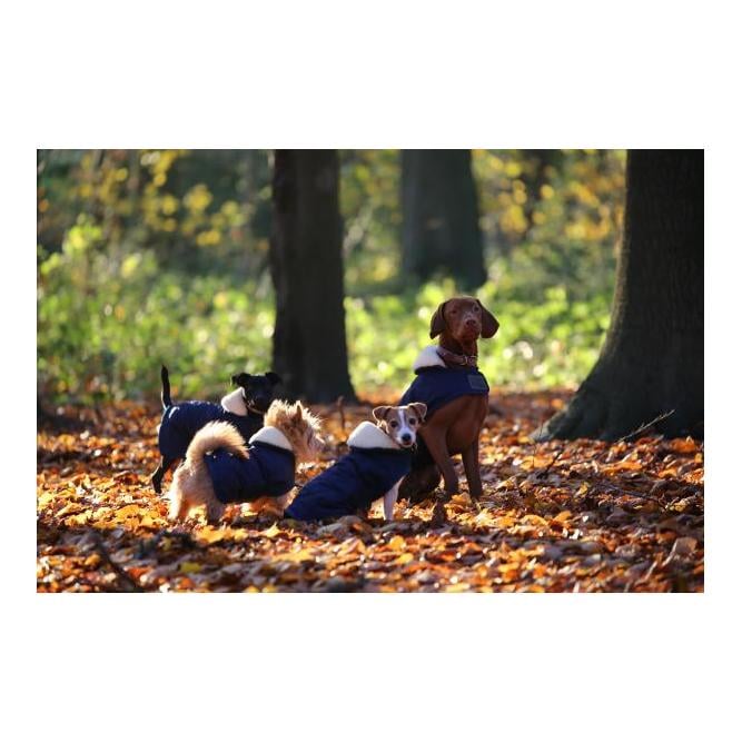 Hundemantel Original - marine Hundemantel Original - marine