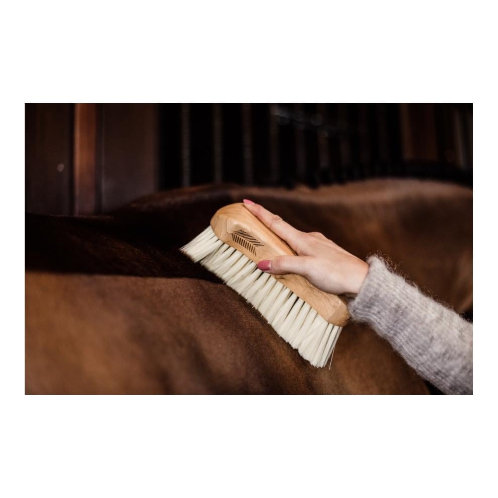 Körperbürste mittel soft / Body Brush middle soft Körperbürste mittel soft / Body Brush middle soft
