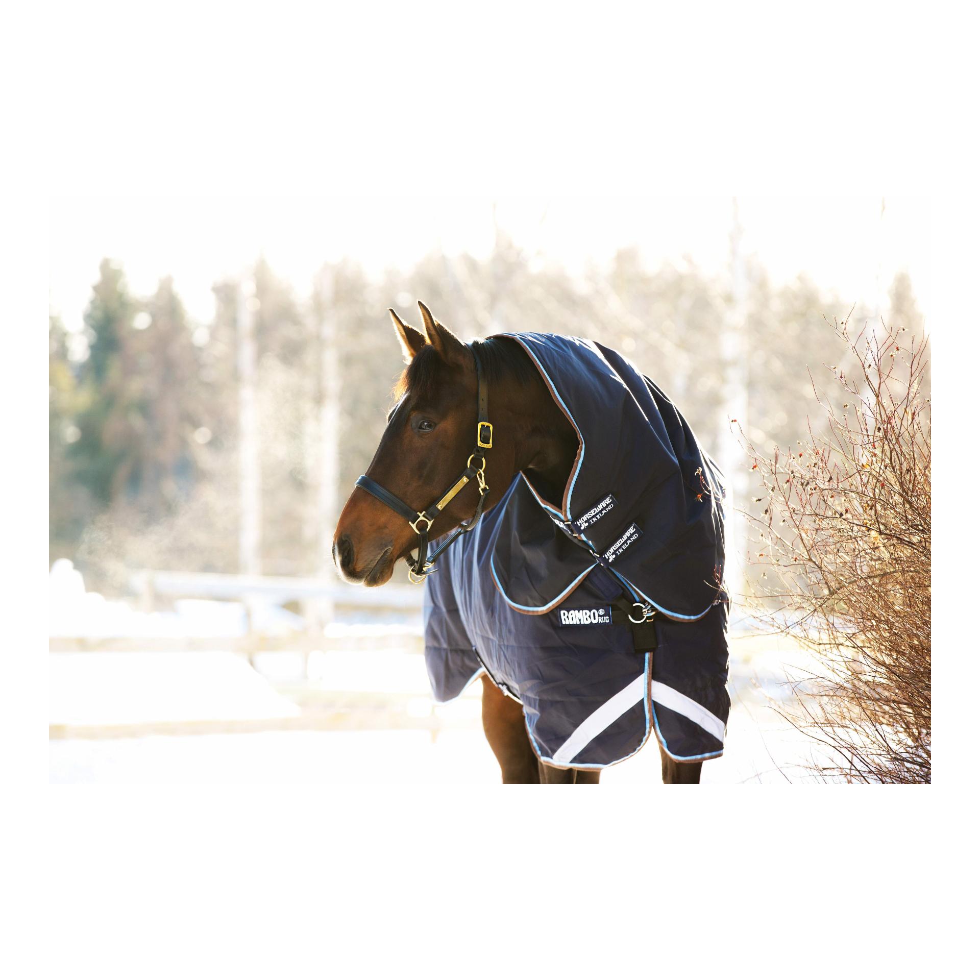 Weidedecke Rambo Duo Turnout (100g Outer mit 300g Liner) Weidedecke Rambo Duo Turnout (100g Outer mit 300g Liner)