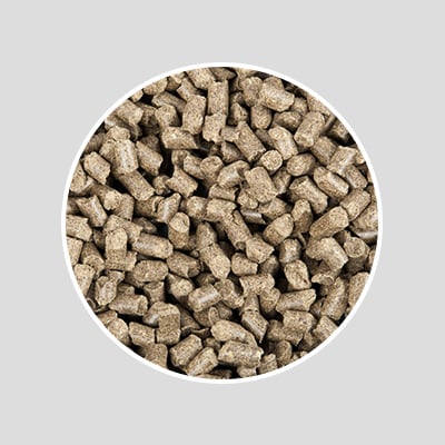 RS-KAT-Getreidefreies_Futter