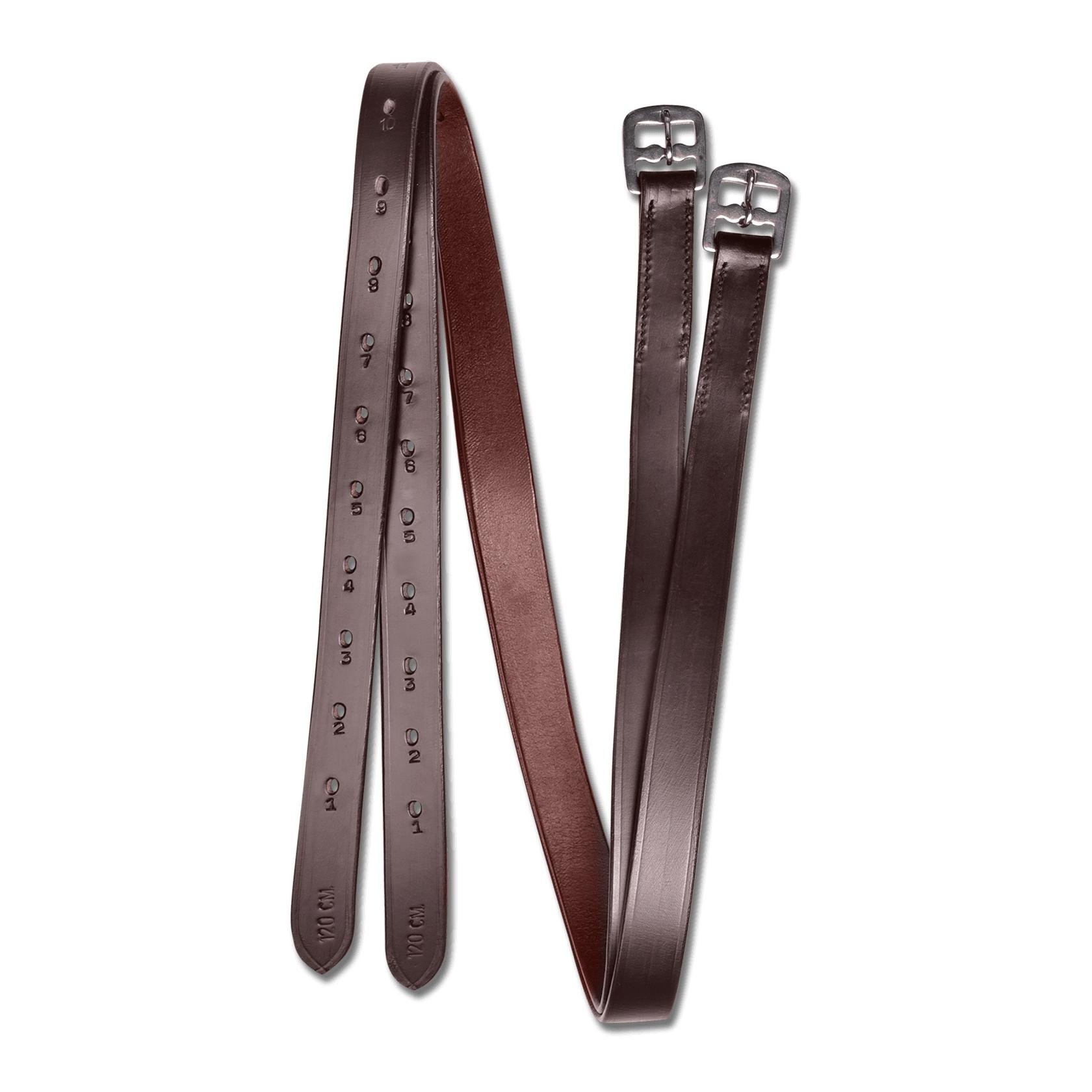 Steigbügelriemen Leder 2.2 cm