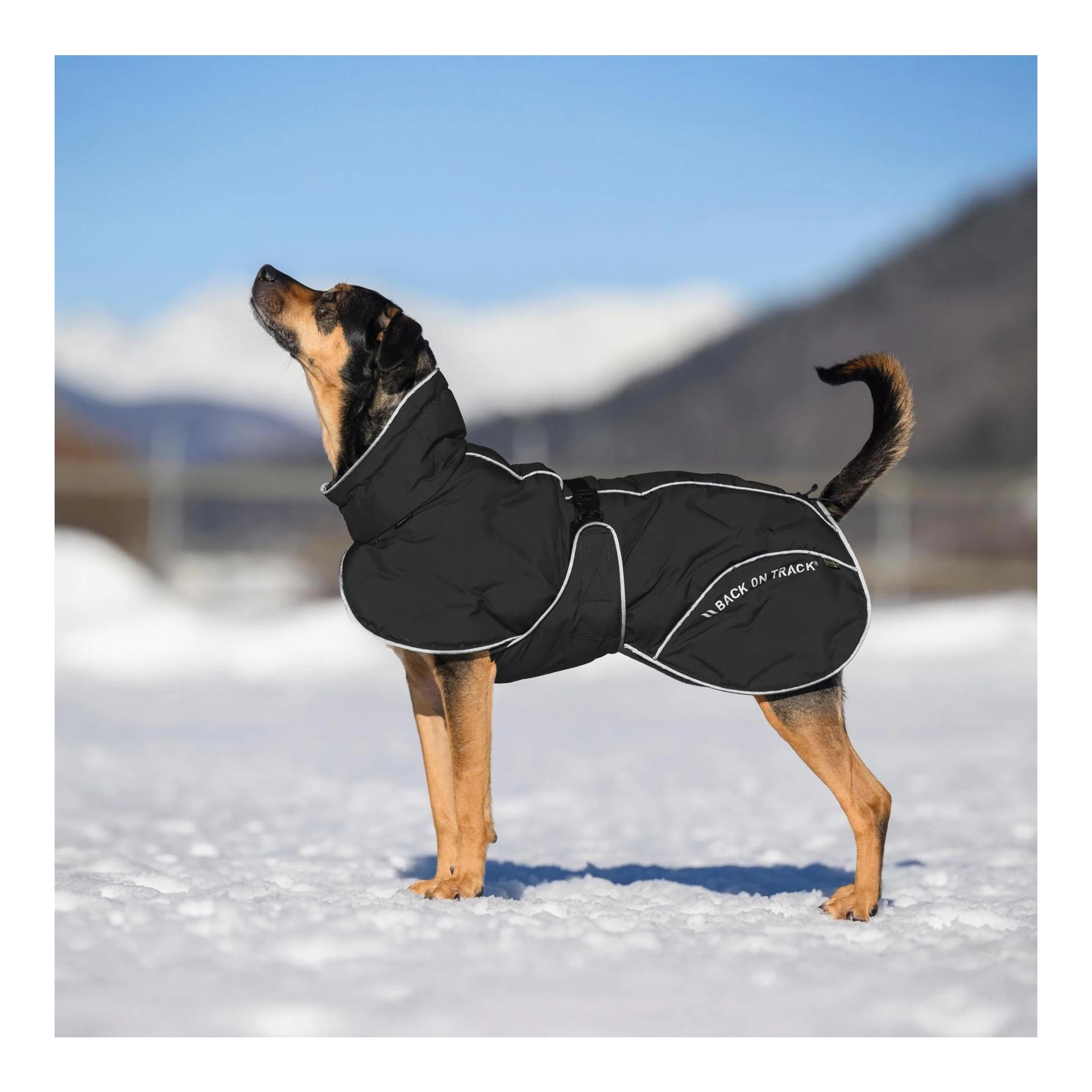 BAY manteau d'hiver pour chiens, 120 g, queue haute