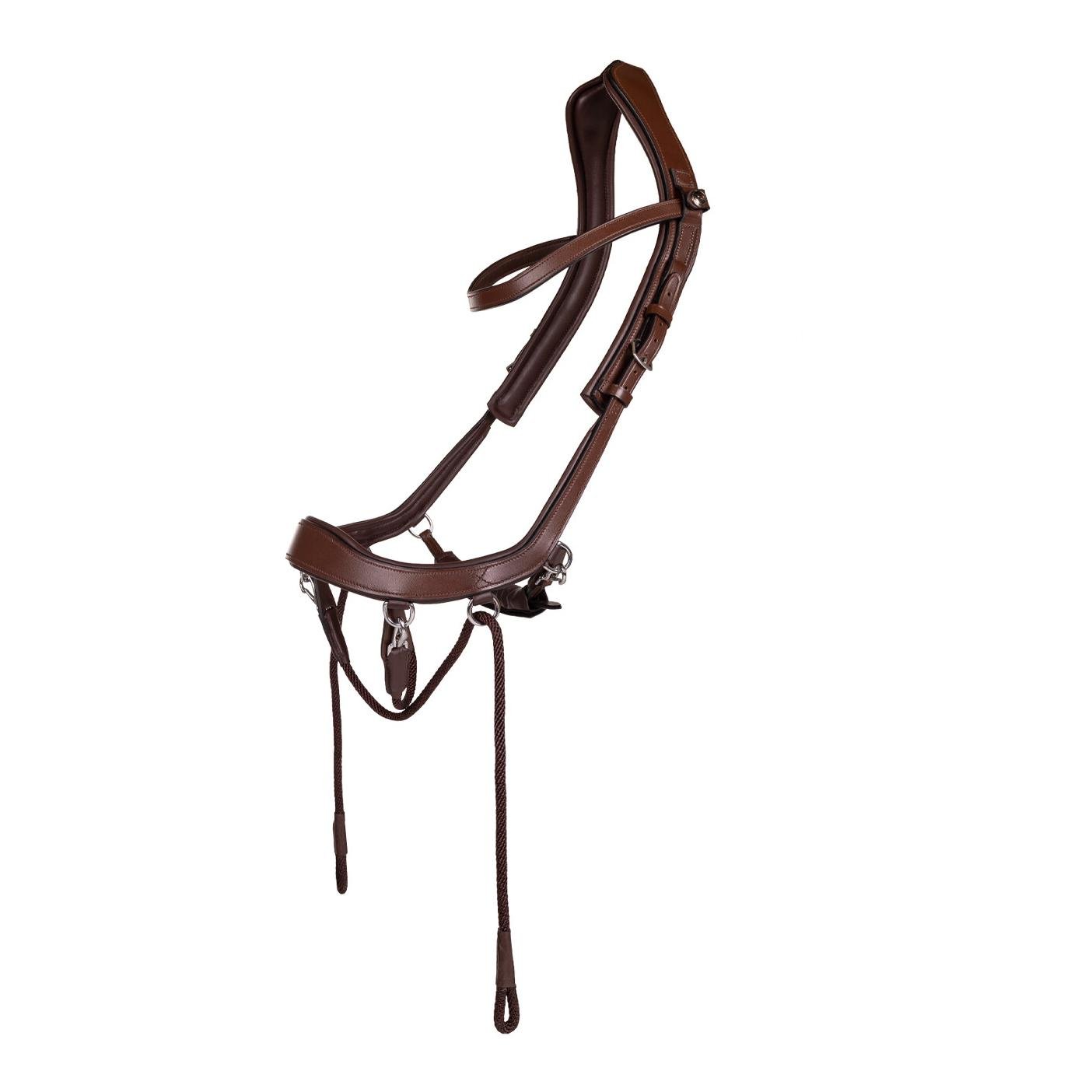 PresTeq Bride sans mors FaySport