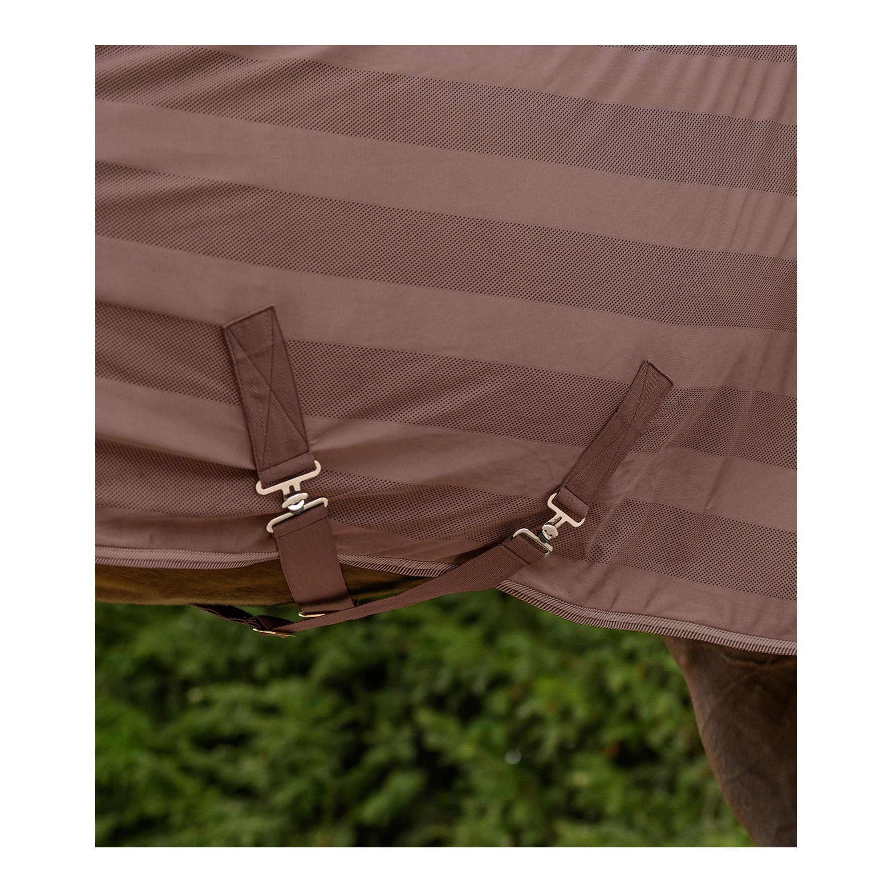 Waldhausen Fliegendecke Economic Kreuzbegurtung