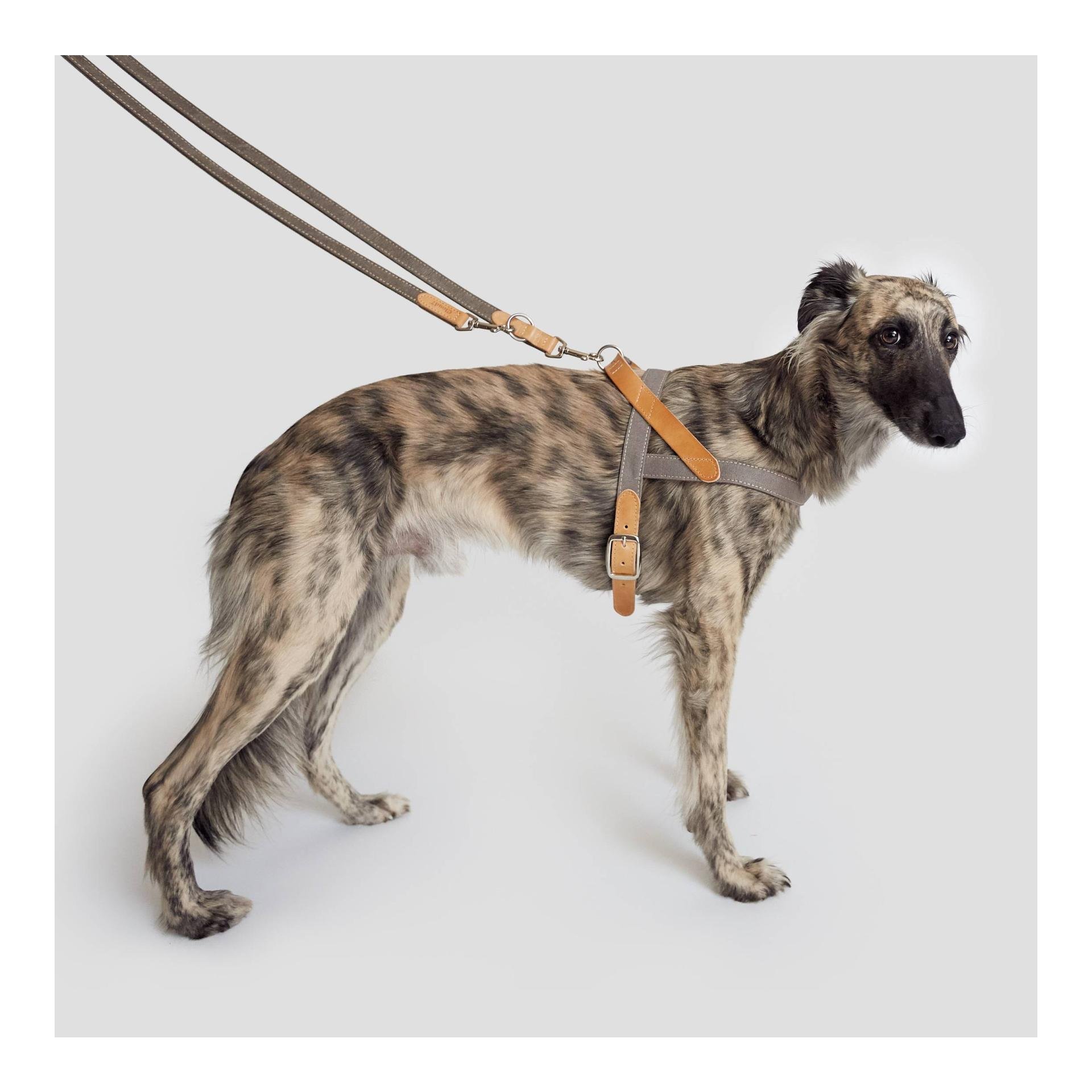 Hundegeschirr Tivoli - grau Hundegeschirr Tivoli - grau