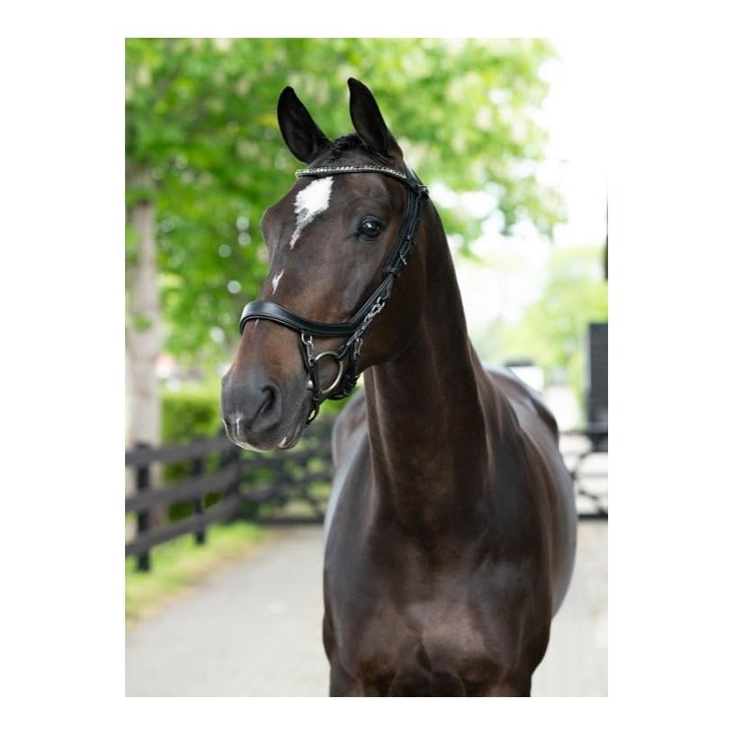 PresTeq Bride FaySport – noir