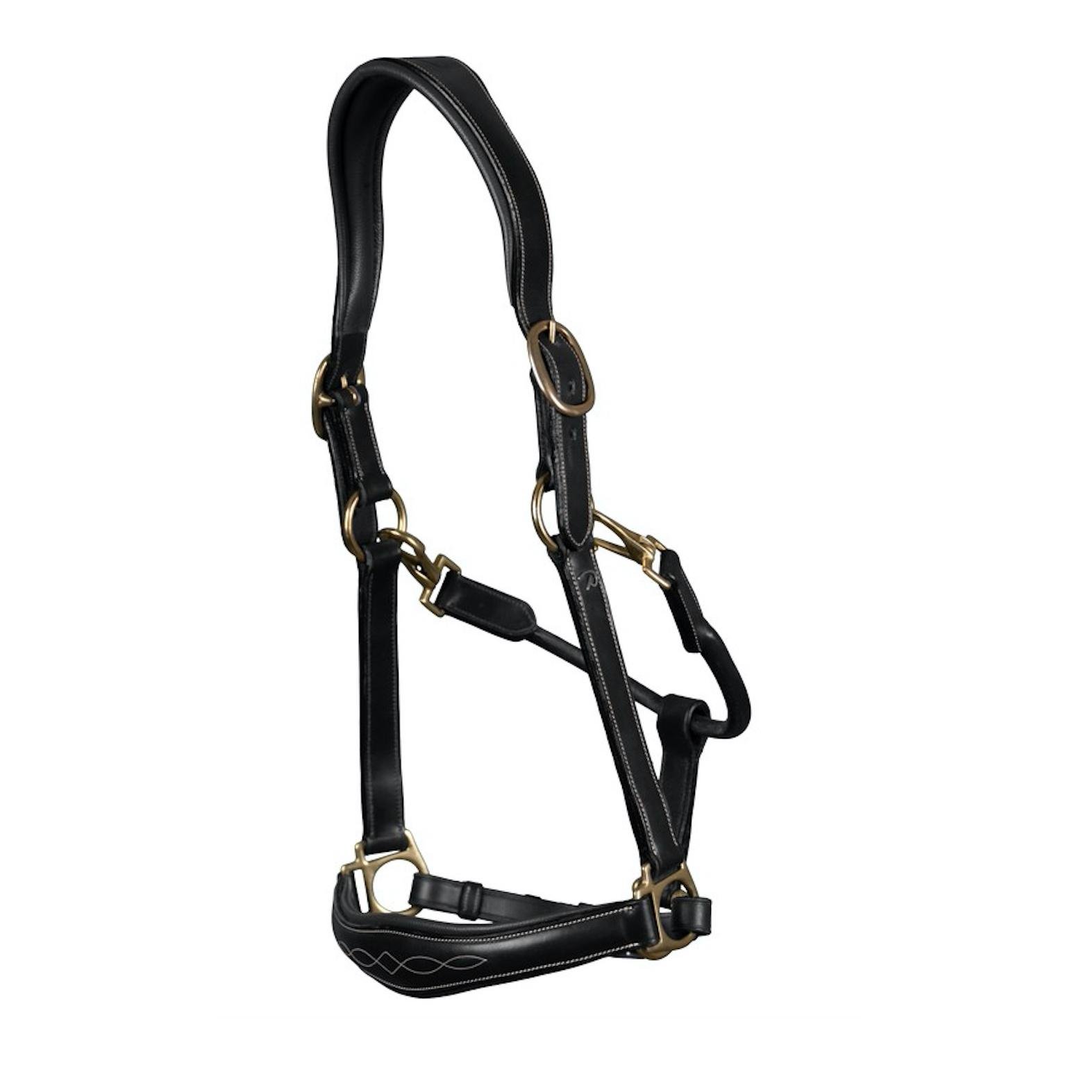 Licol en cuir - noir