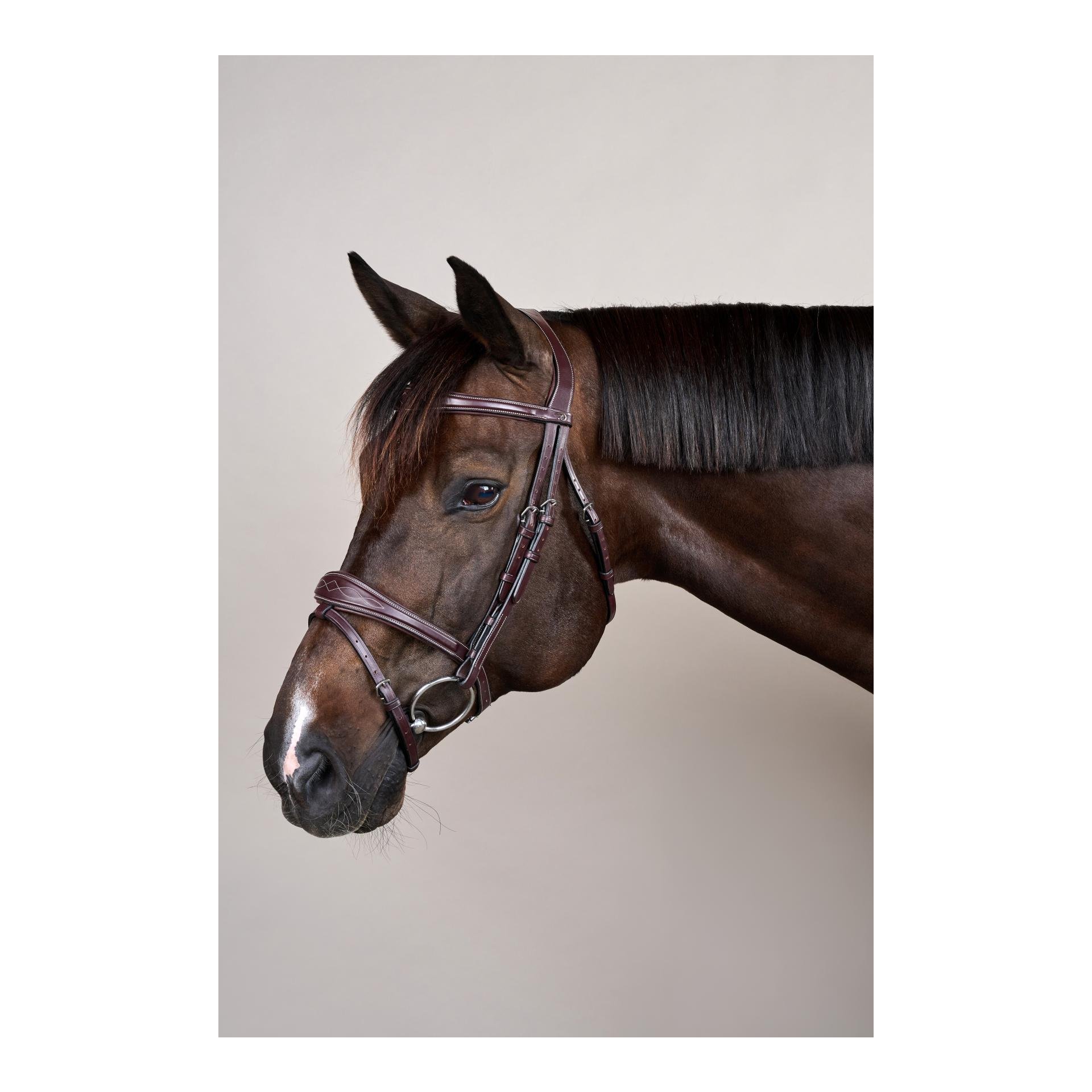 Dy'on Anatomische Trense mit kombiniertem Reithalfter US