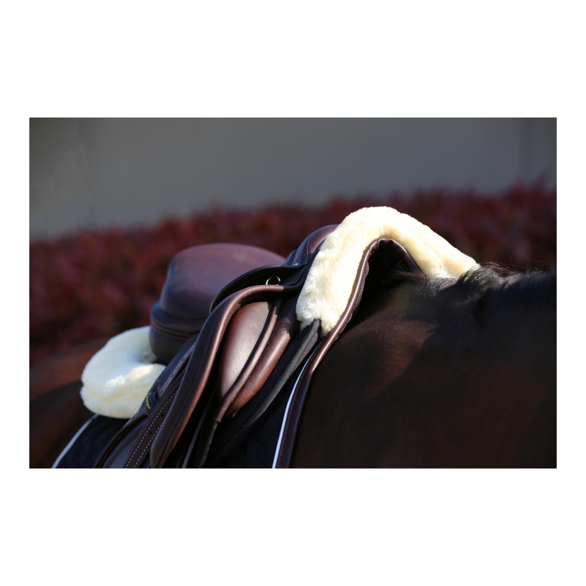 Sheepskin HalfPad Anatomic Absorb amortisseur anatomique mouton chevaux  Kentucky - KENTUCKY HORSEWEAR - Amortisseur cheval 