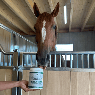 Elektrolyten pferdefutter