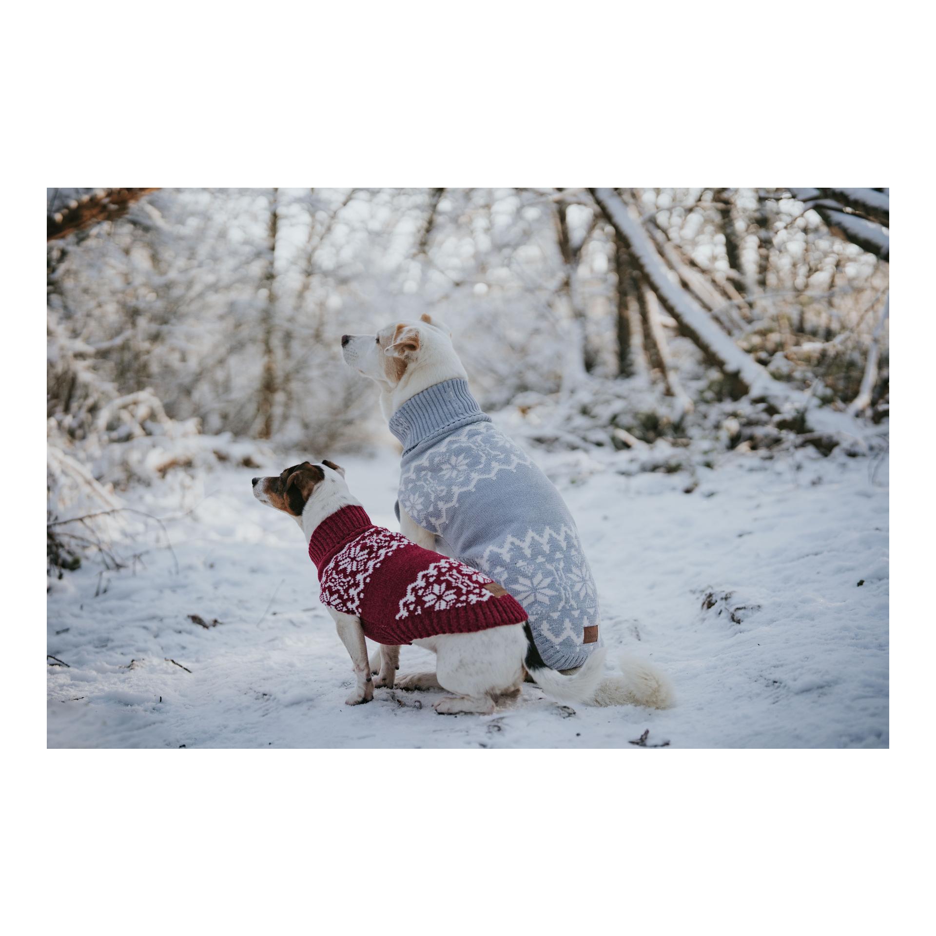 Hunter Hundepullover Birka