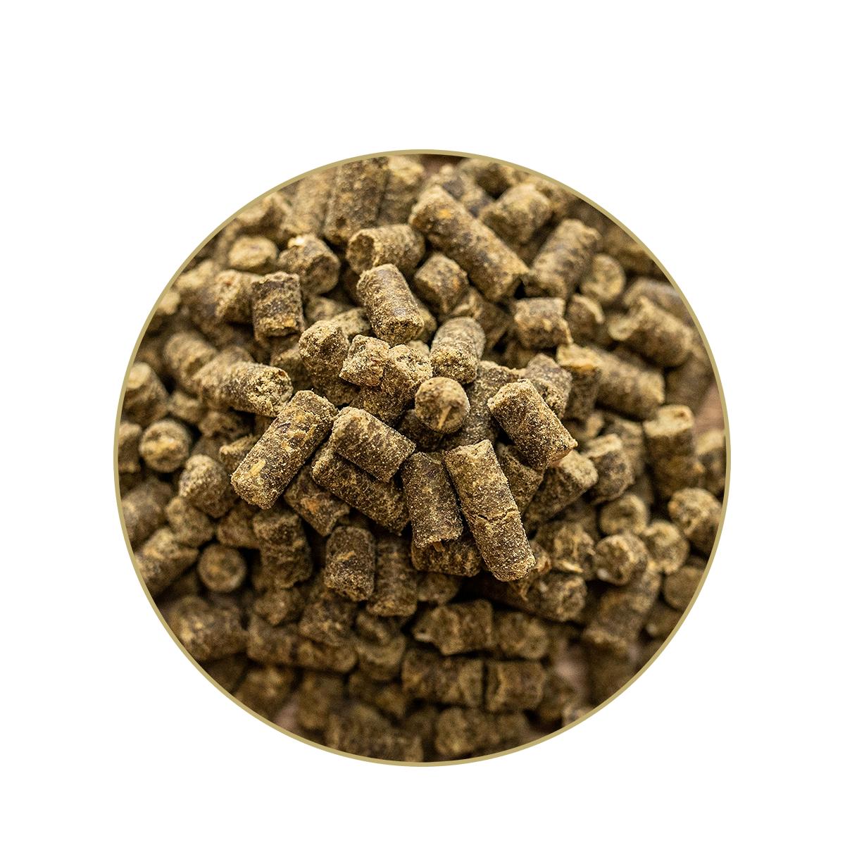 St. Hippolyt Vitamin E / Selen