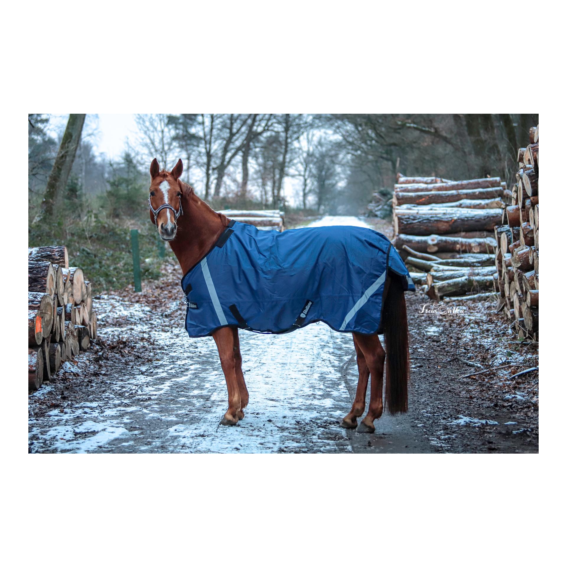 Decken-Set 100-300 g Weidedecke Outdoor Guard mit Unterdecke & Halsteil Decken-Set 100-300 g Weidedecke Outdoor Guard mit Unterdecke & Halsteil