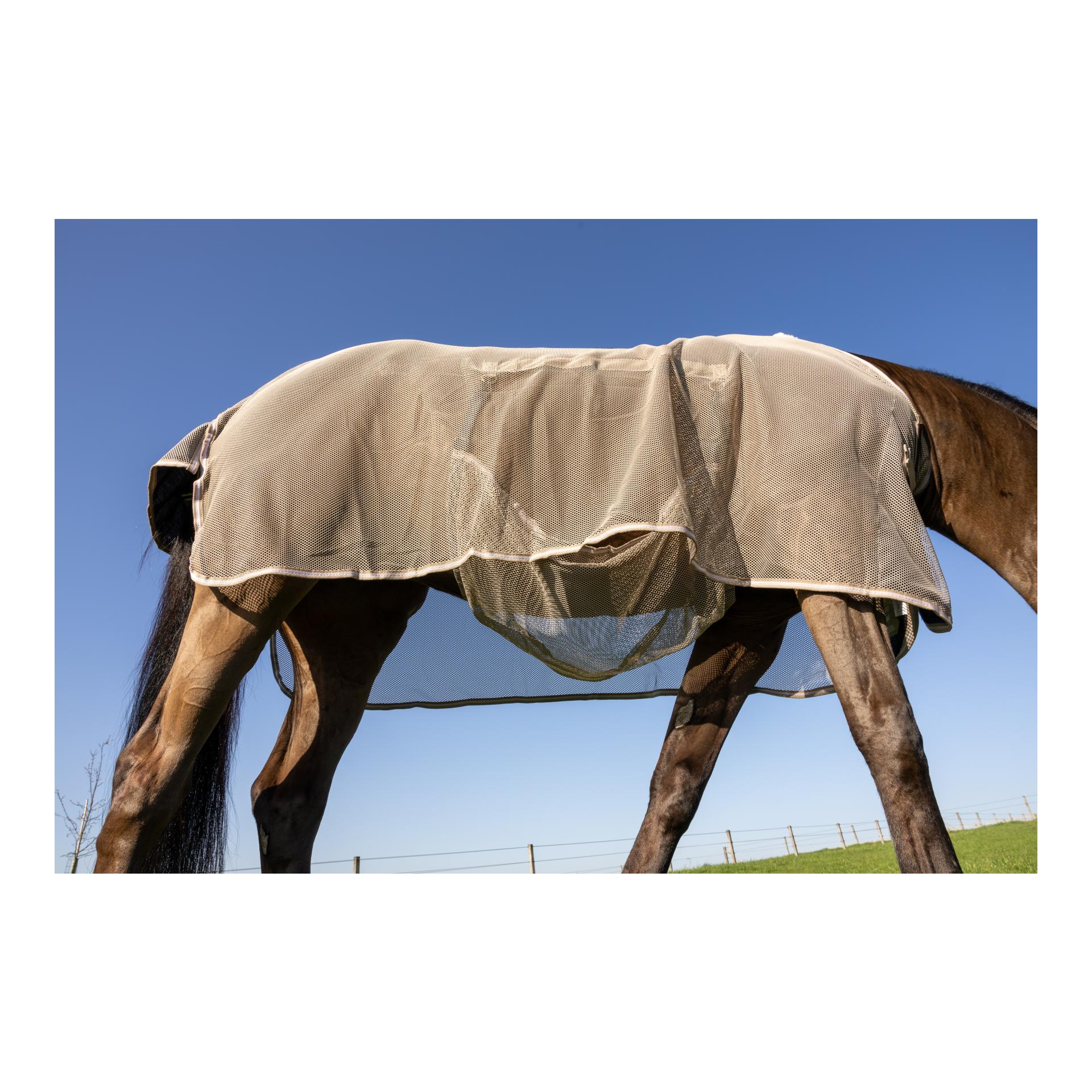 Kentucky Fliegendecke mit Bauchteil Comfort