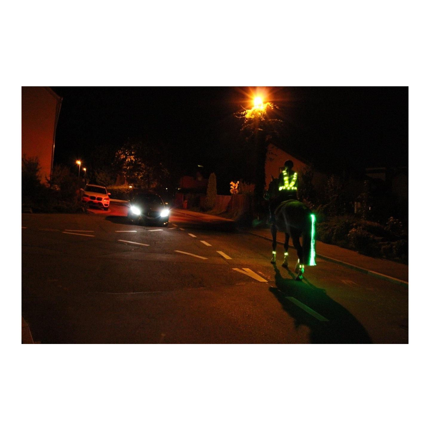 LED Schweifbeleuchtung Long 2.0 LED Schweifbeleuchtung Long 2.0