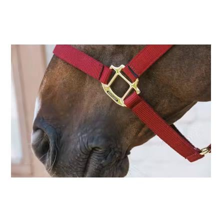 Nylon Halfter Breakaway Nylon Halfter Breakaway