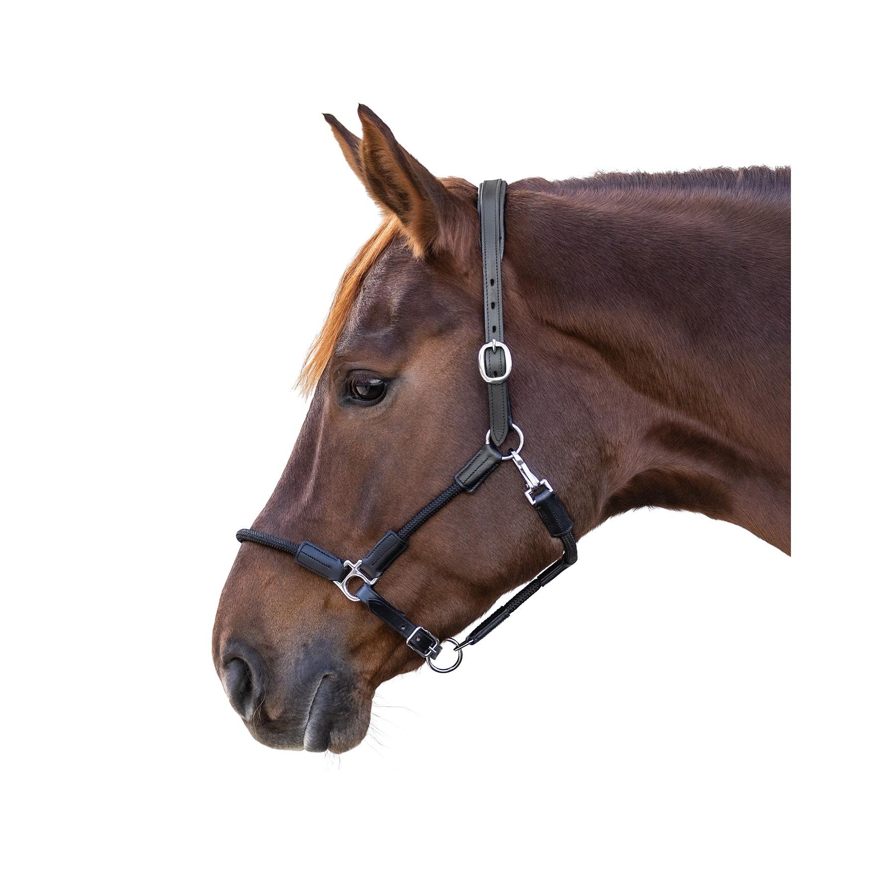 Lederhalfter X-Line Nevada