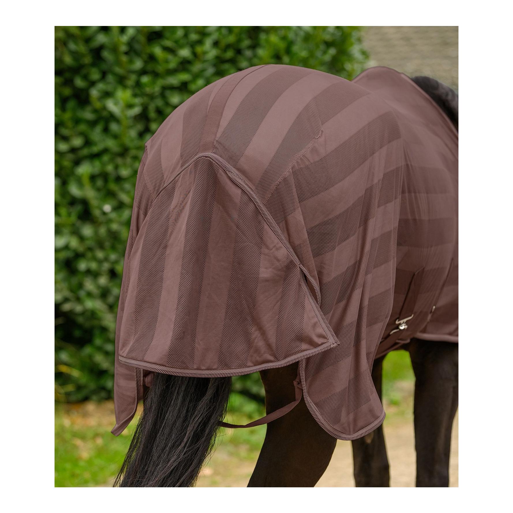 Waldhausen Fliegendecke Economic Kreuzbegurtung