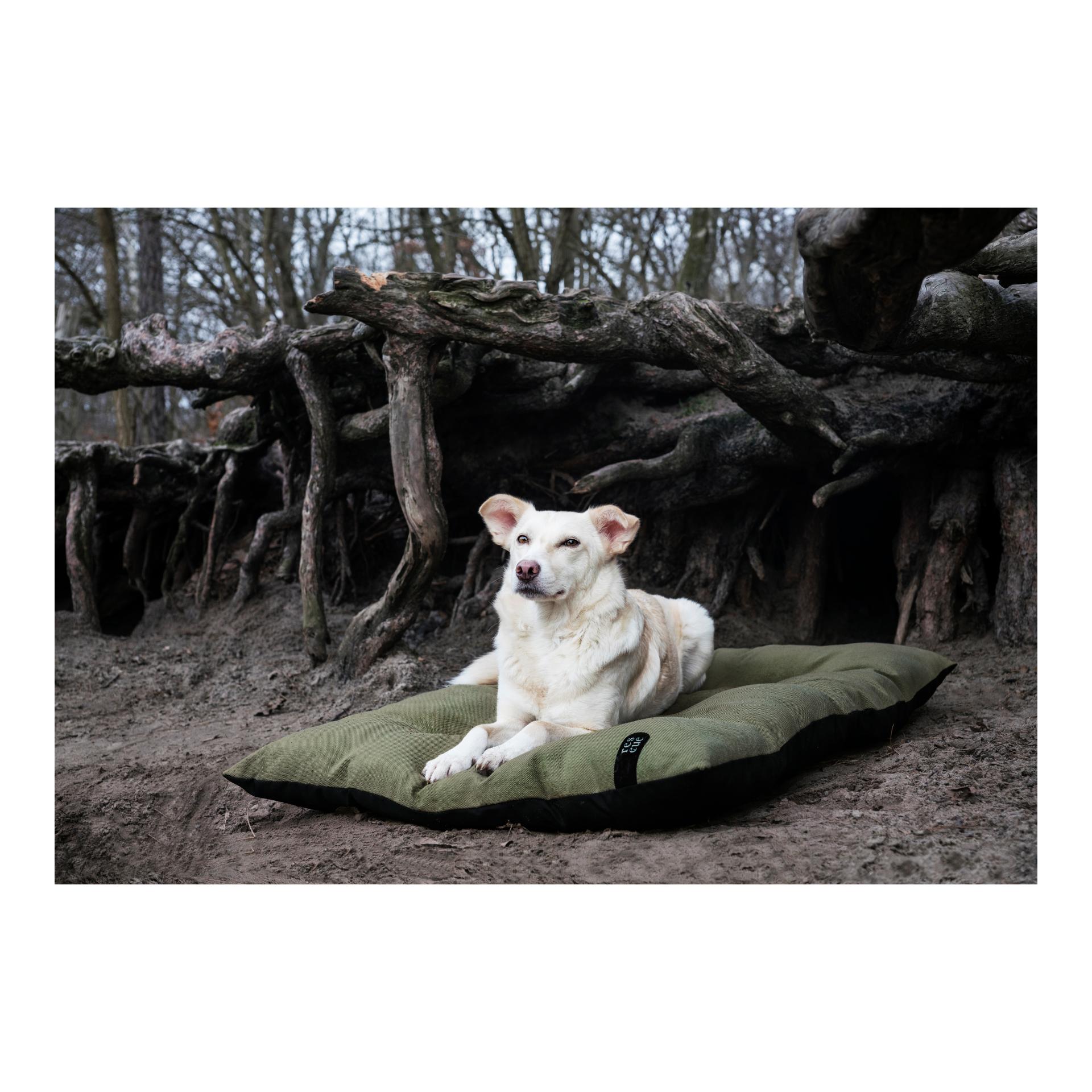 Cloud 7 Hundekissen RESC7UE