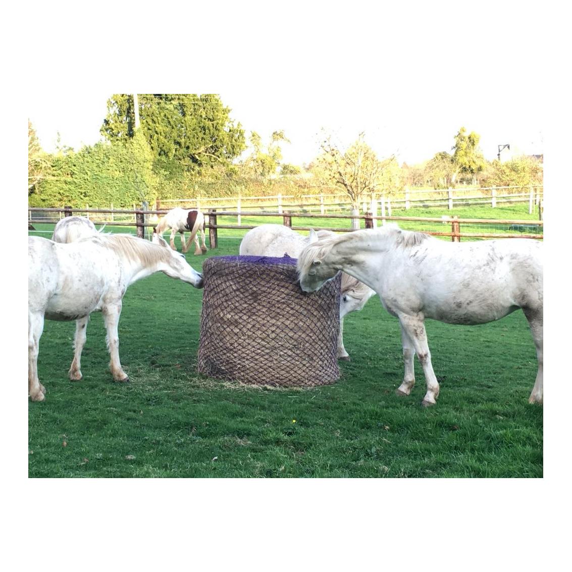 Equip Horse Futtersparnetz für Rundballen 5 x 5 cm Maschenweite