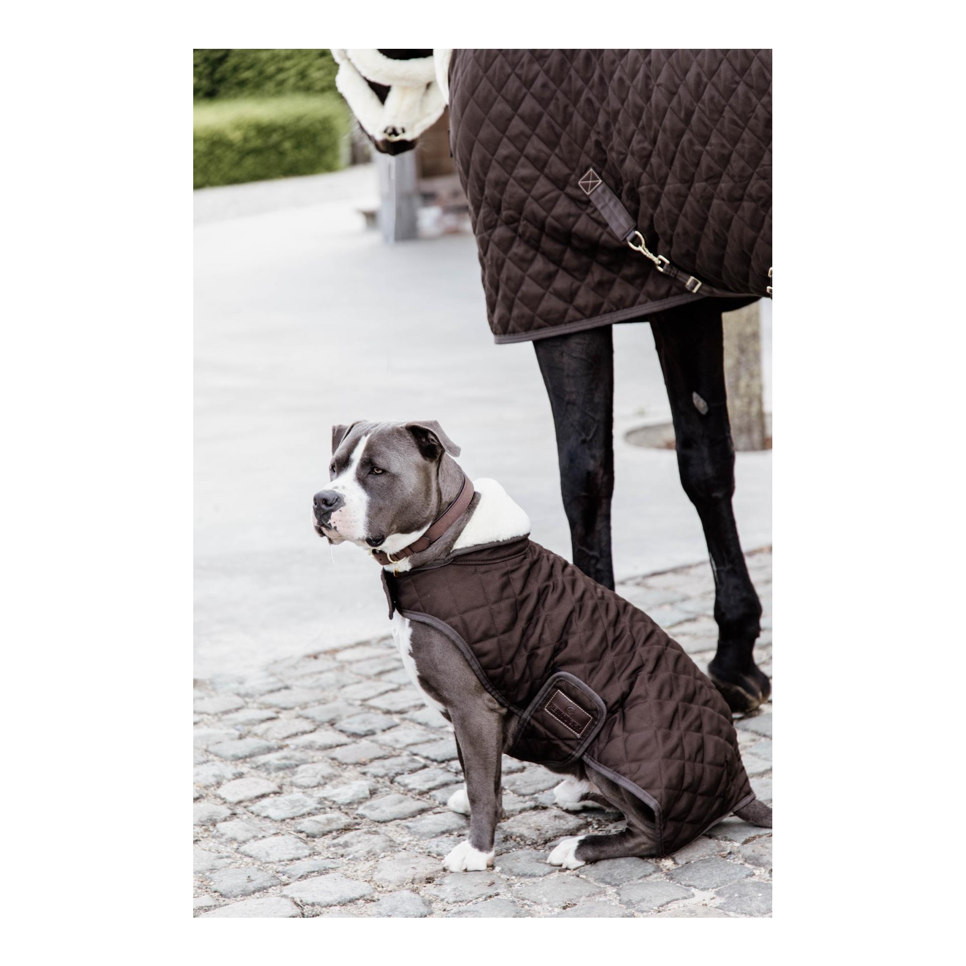 Hundemantel Original - brown Hundemantel Original - brown