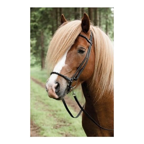Islandzaum Hannover. Nasenband geflochten - schwarz
