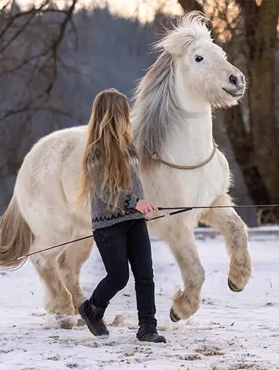 RS-ShopBanner_Bodenarbeit