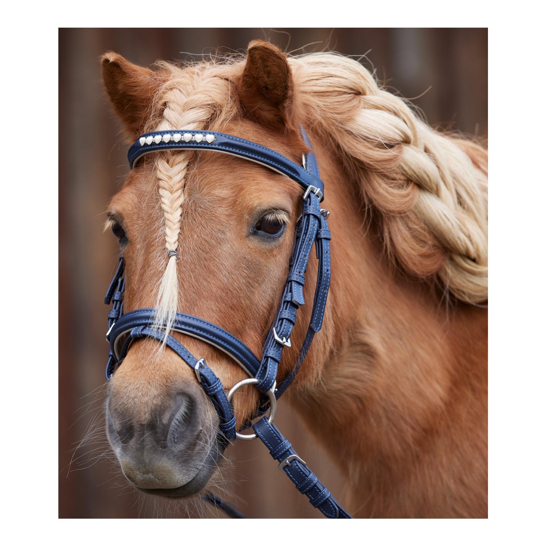 Ponyzaum Lucky Heart  Ponyzaum Lucky Heart