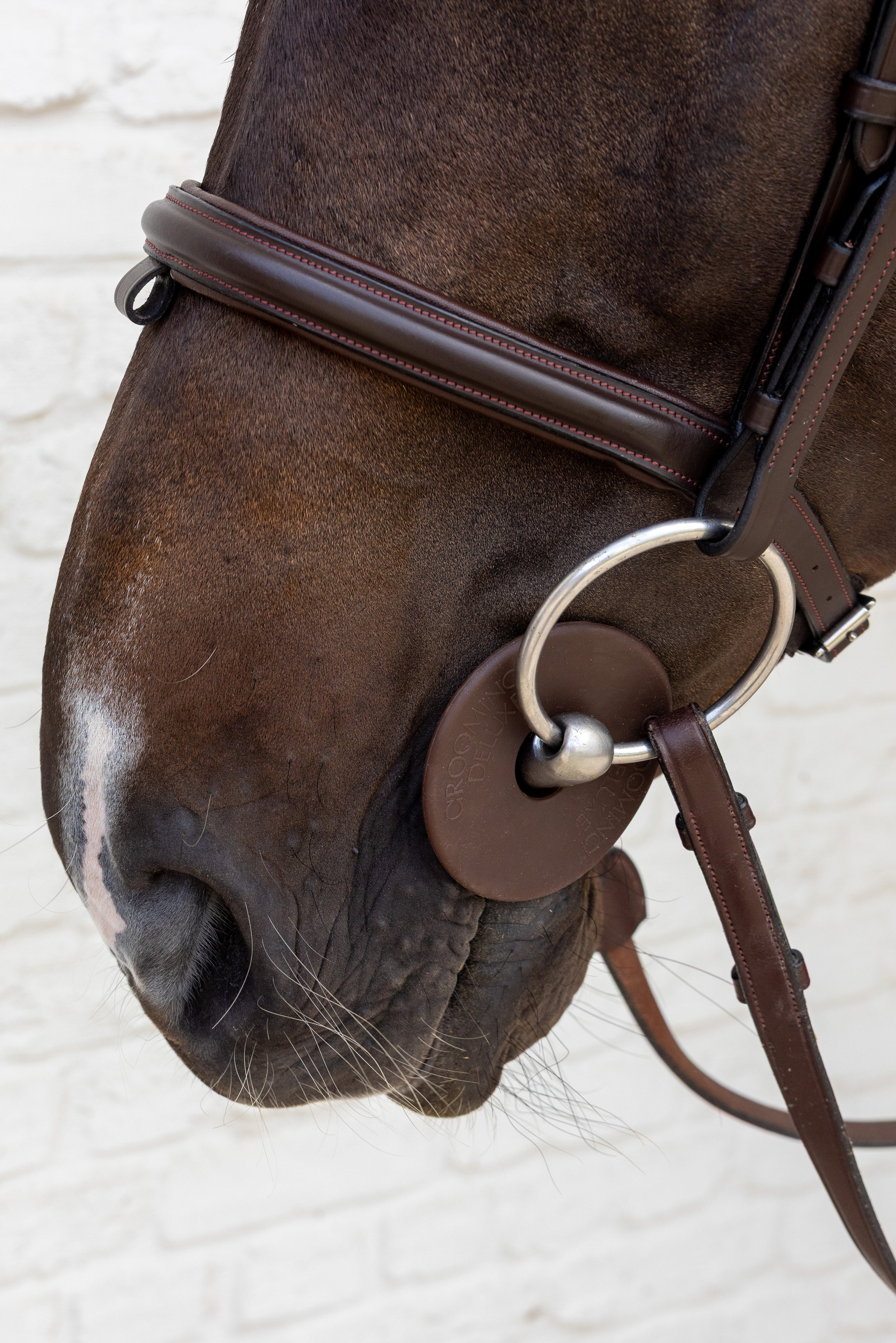 Grooming Deluxe Silikon-Gebissscheiben