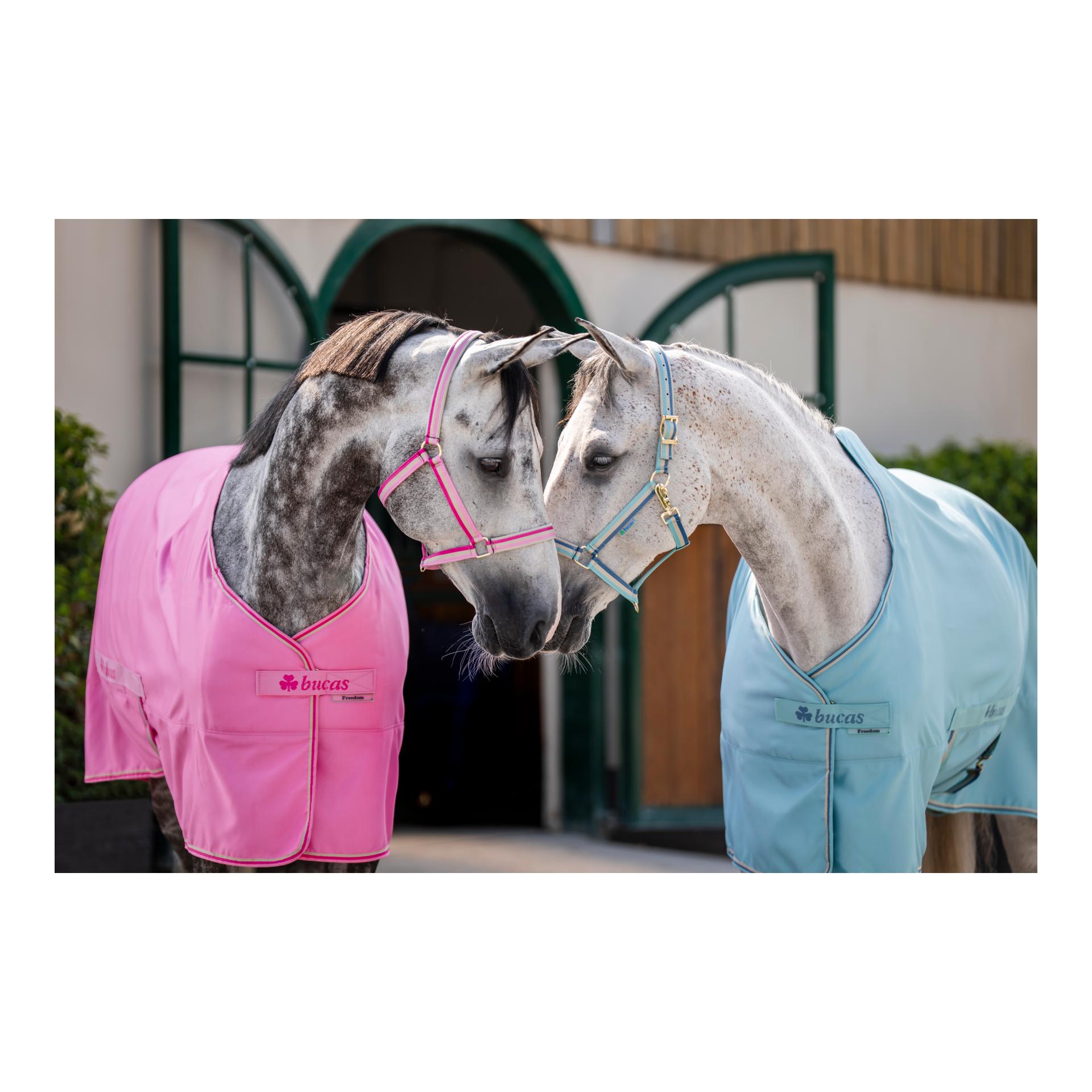 Bucas Halfter Dublin