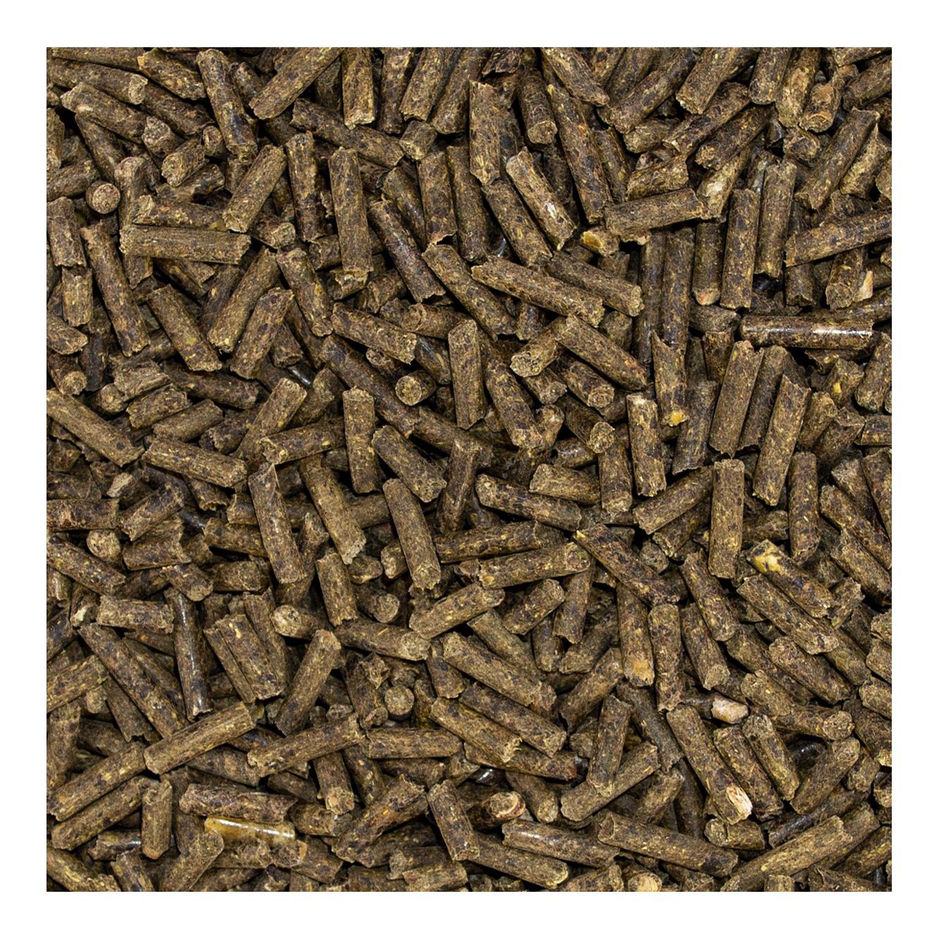 Speed Electrolyte boost