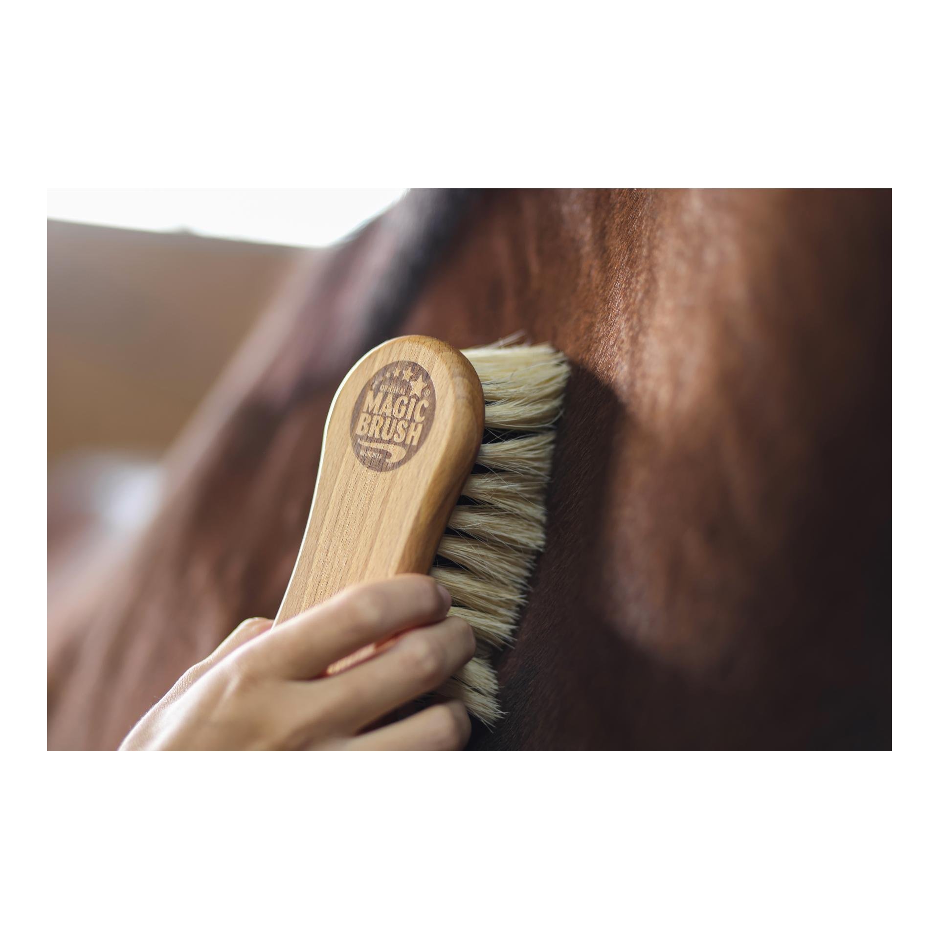 Natural Fibres Reinigungsbürste Soft