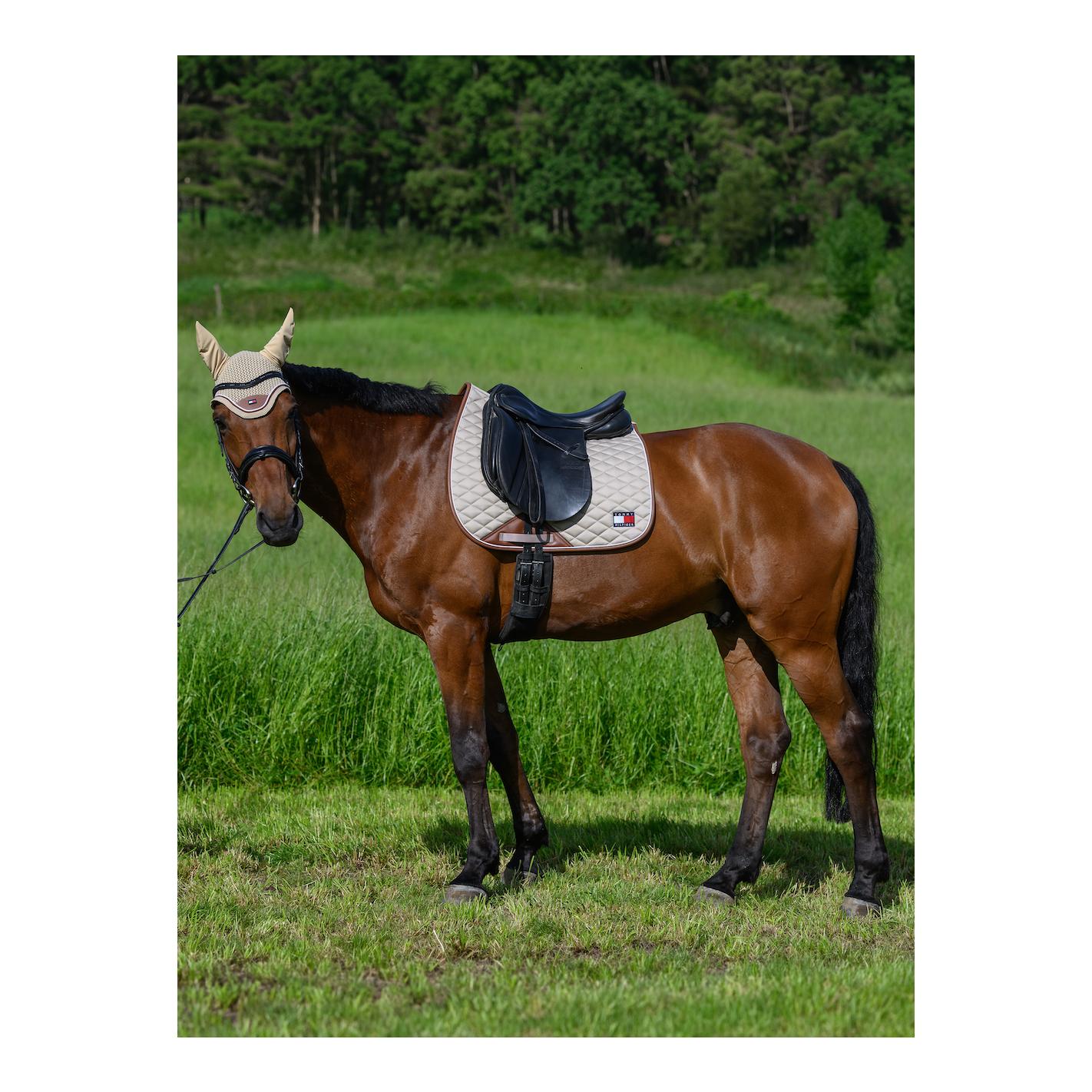 Schabracke Princeton