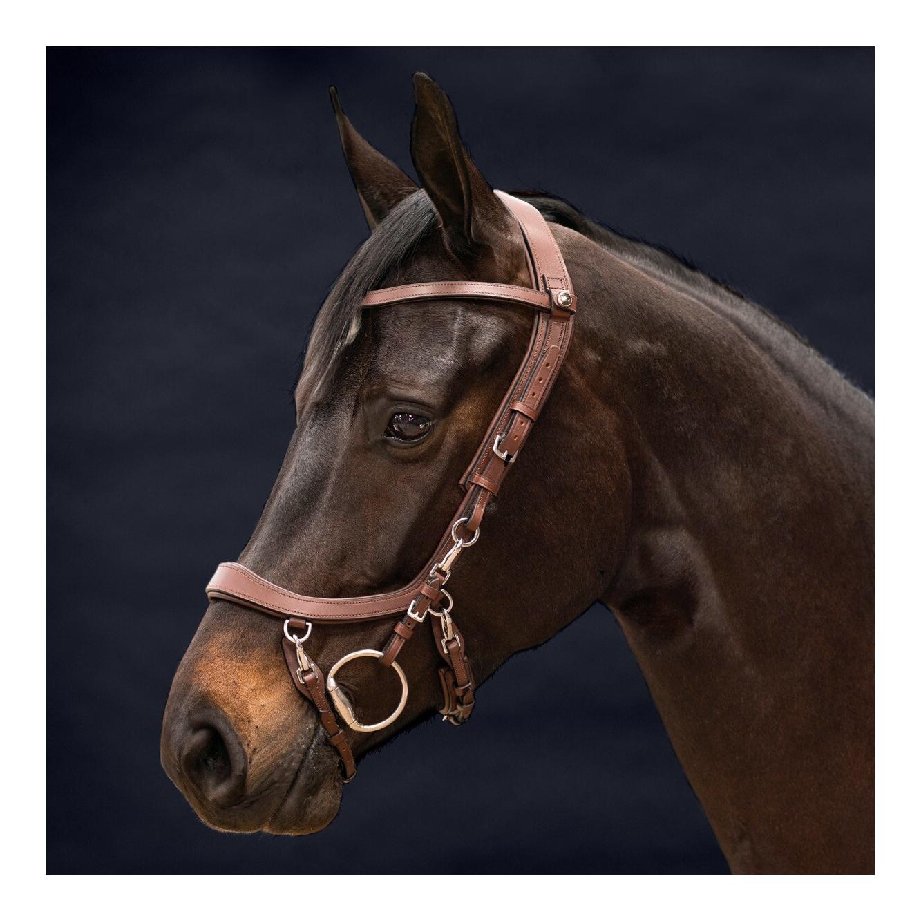 Bride FaySport – brun