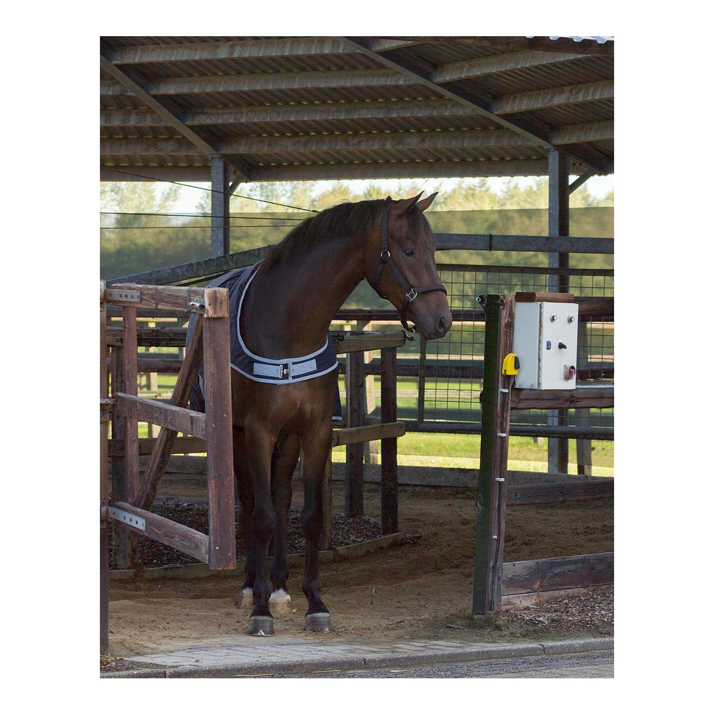 Couverture de marche 0 g – bleu marine