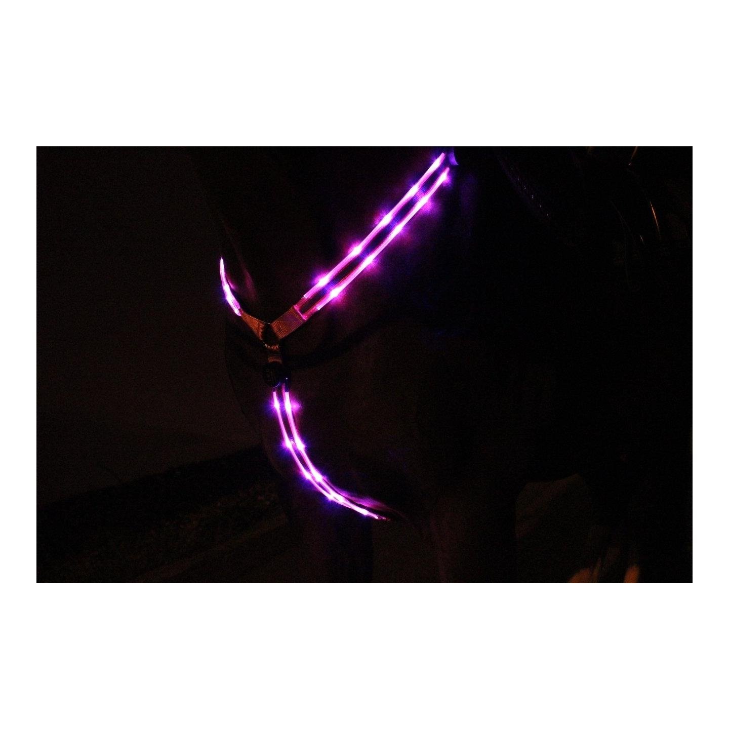 LED Leuchtvorgeschirr 2.0 - pink LED Leuchtvorgeschirr 2.0 - pink