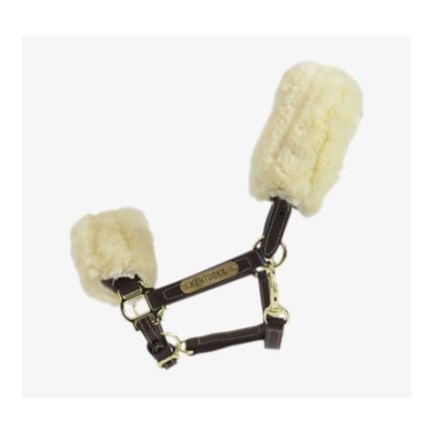 Pony Lederhalfter - braun Pony Lederhalfter - braun