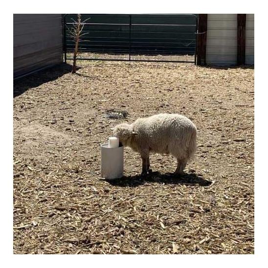 Lister DRINKING POST Abreuvoirs résistants au gel sans électricité