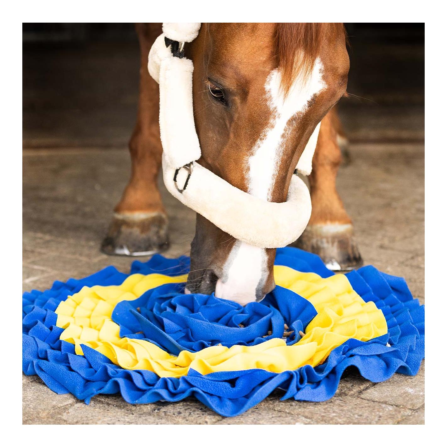 QHP Tapis renifleur pour chevaux