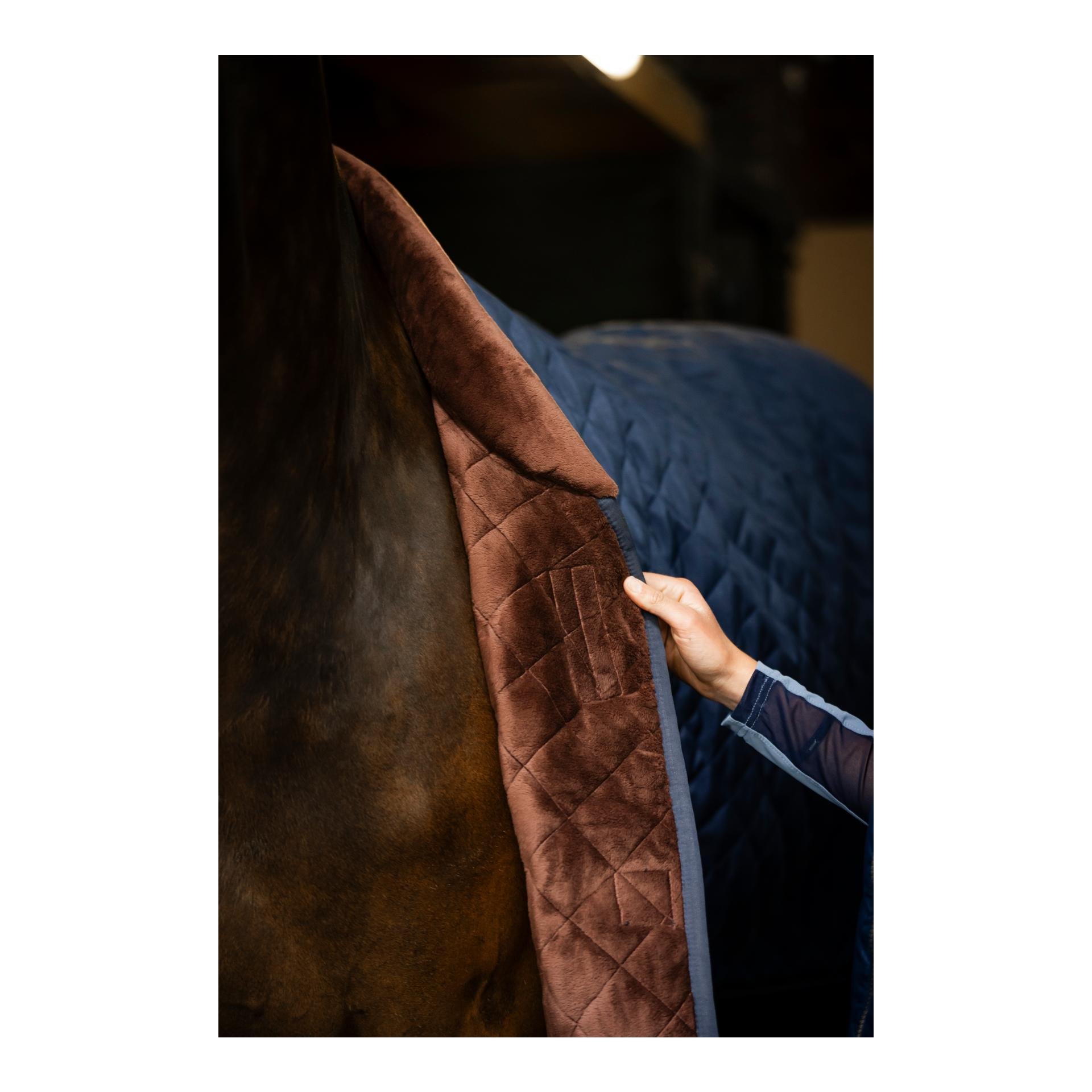Horseware Signature Stable 200g