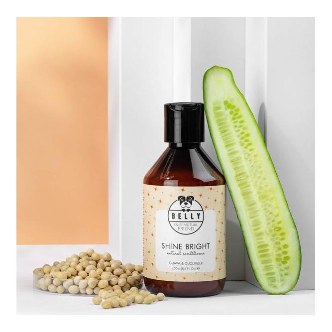 Shine Bright Conditioner Shine Bright Conditioner