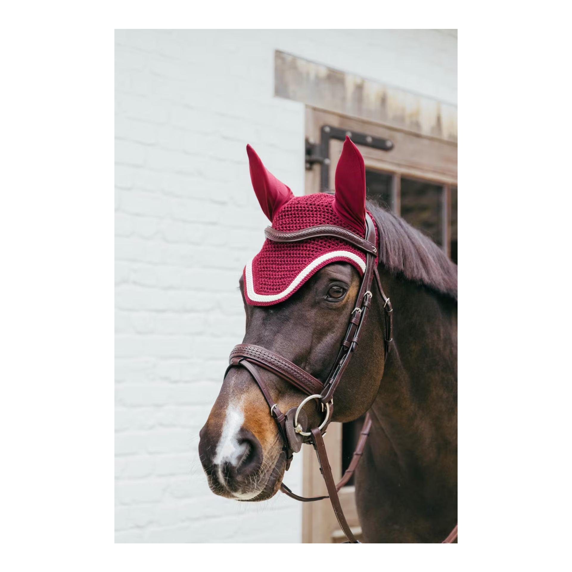 Fliegenhaube Wellington mit geflochtener Kordel Fliegenhaube Wellington mit geflochtener Kordel