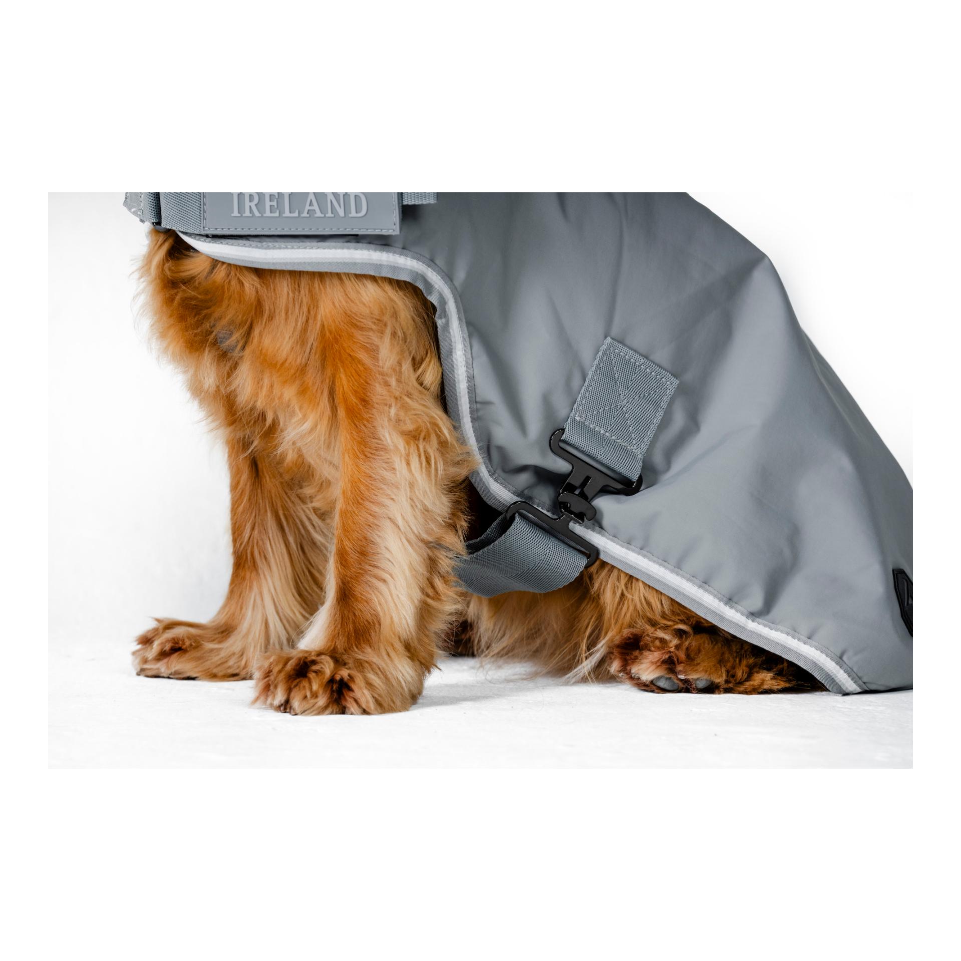 Hundedecke Newmarket