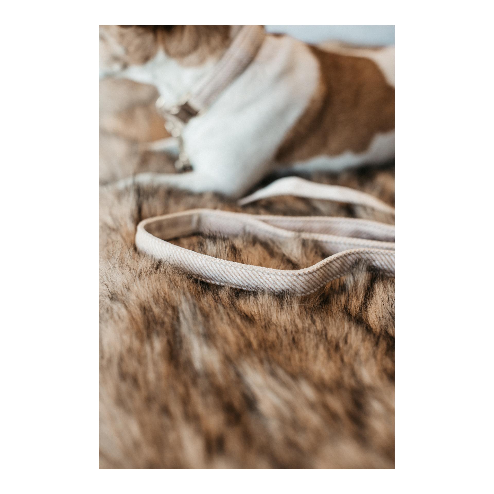 Hundeleine Wool - beige Hundeleine Wool - beige