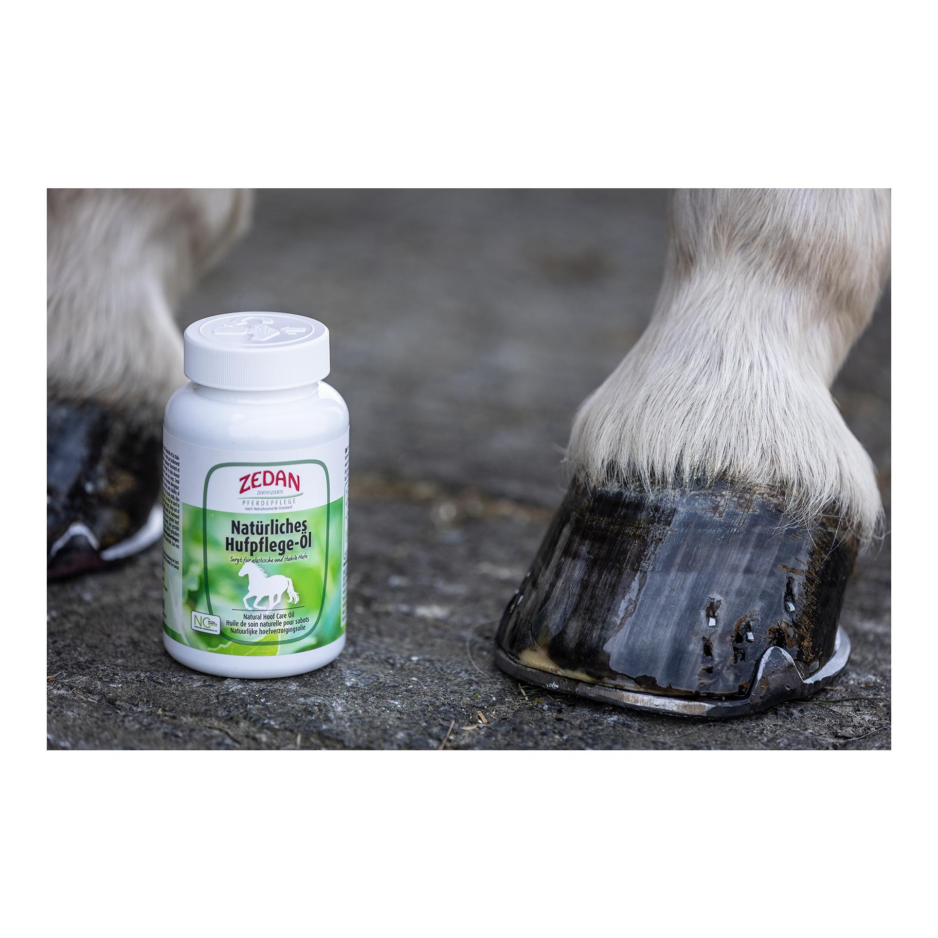 Boîte d'huile pour sabots