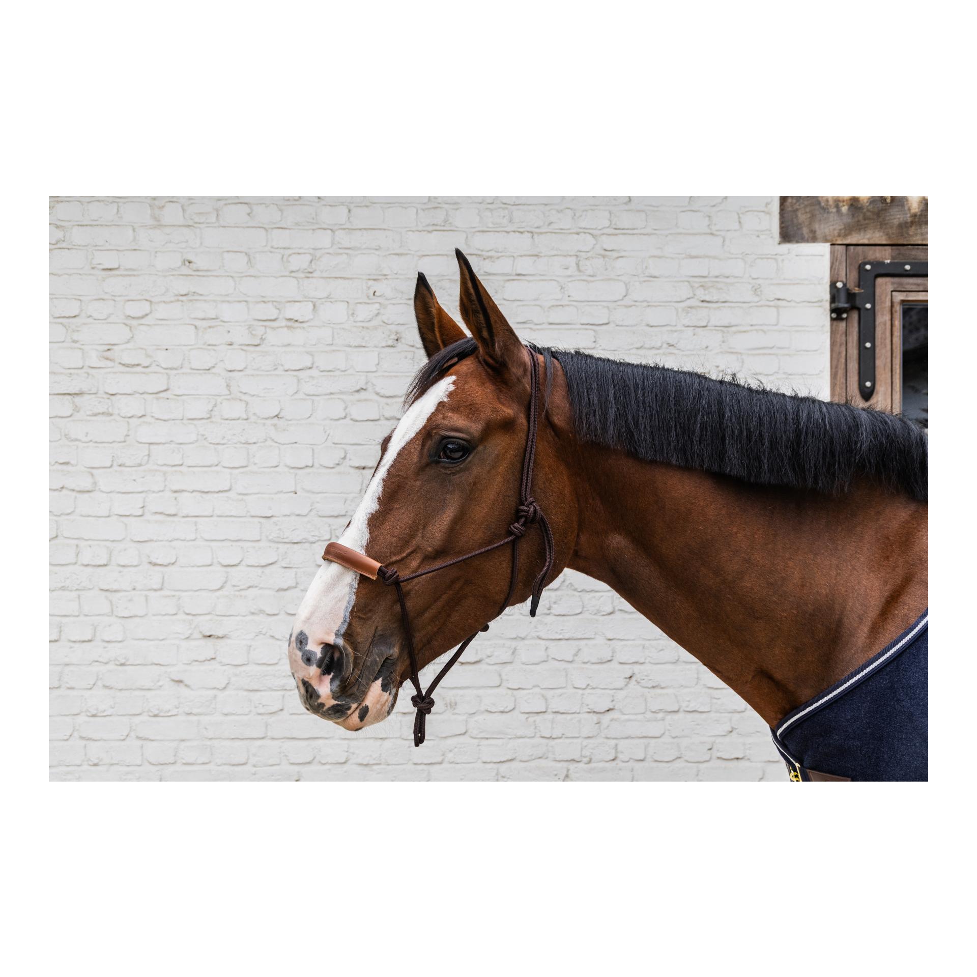 Grooming Deluxe Knotenhalfter