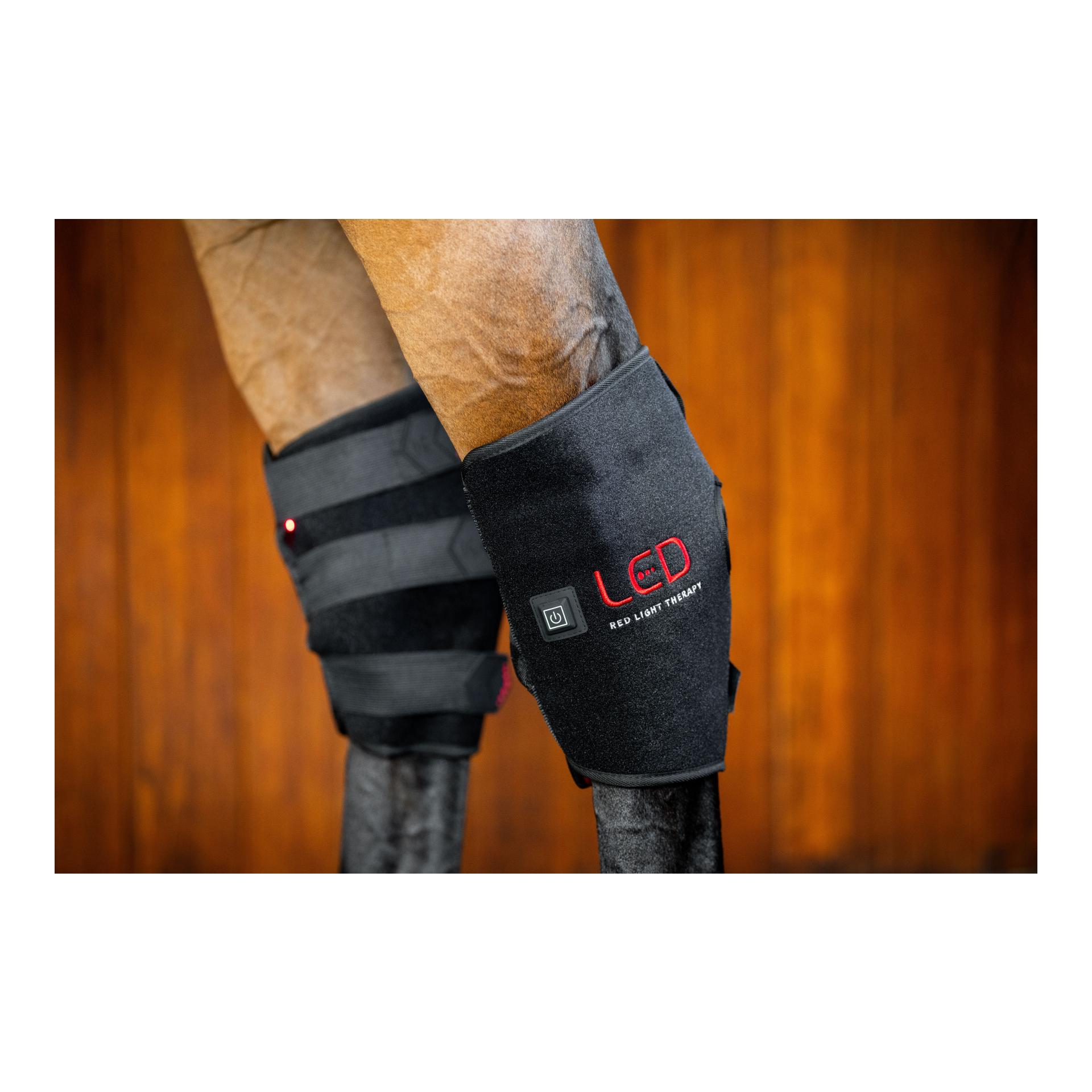 LED Red Light Therapy Hock Boots Pair