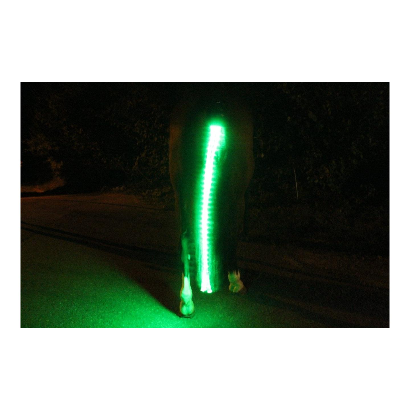 Animal Light LED Schweifbeleuchtung Long 2.0 - grün