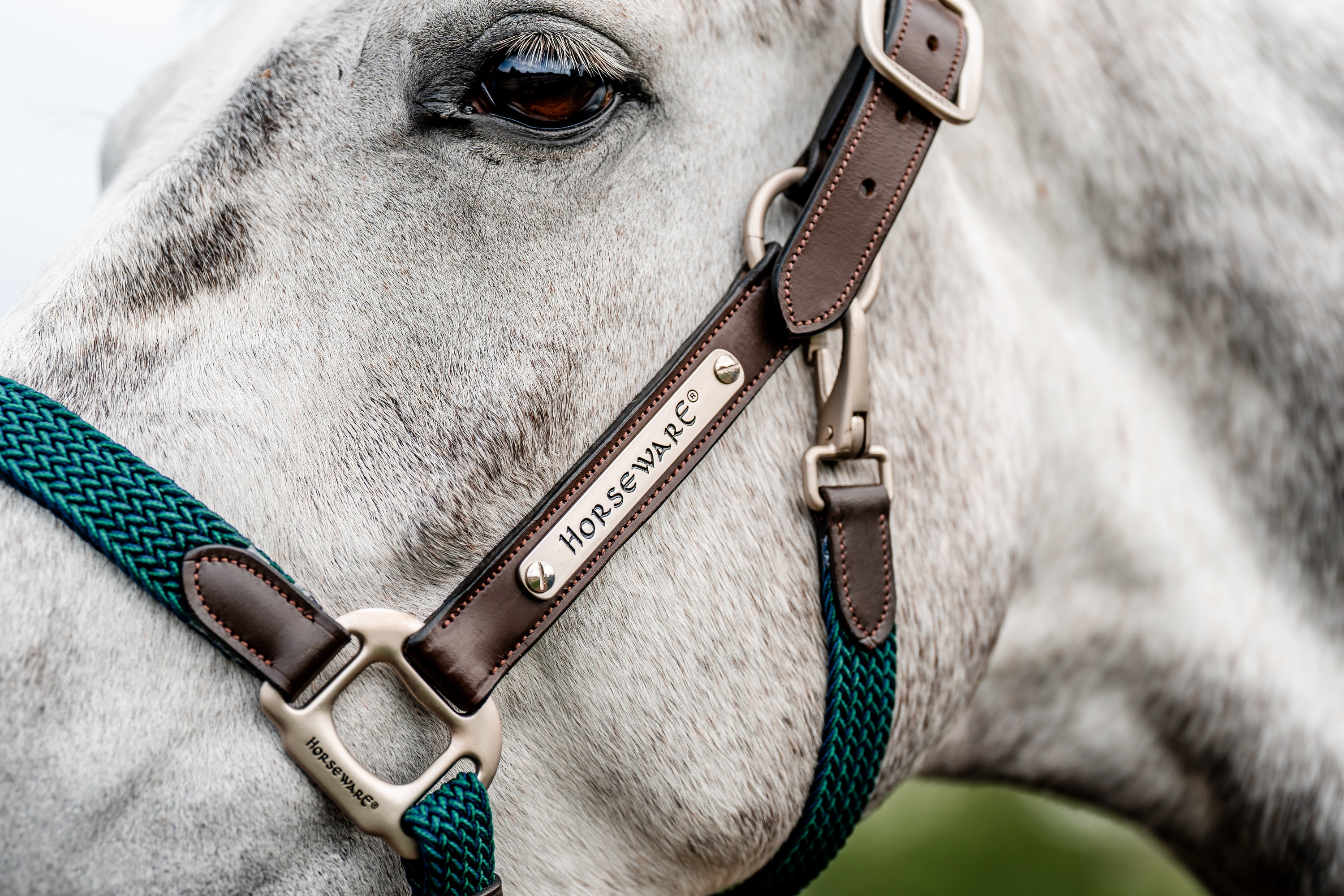 Halfter Signature Braided Halfter Signature Braided